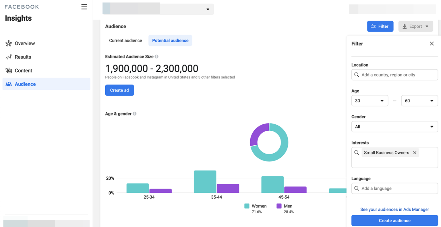 Facebook Audience Insights