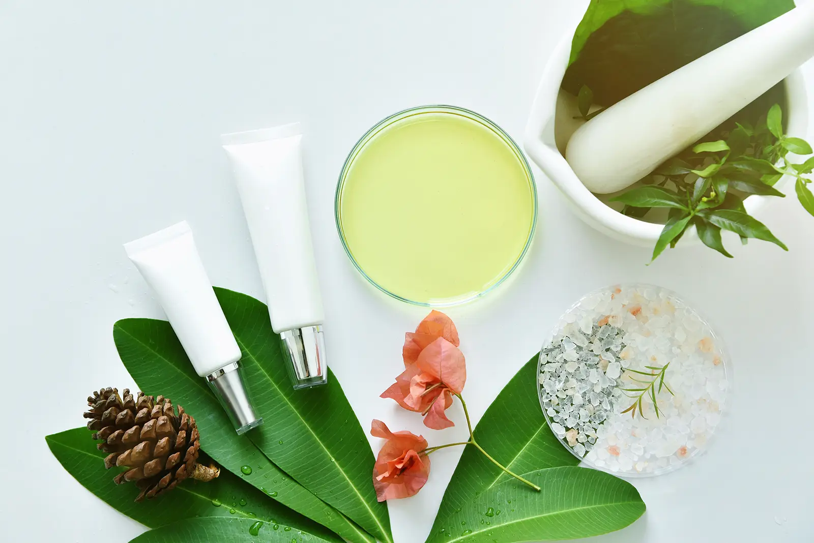 Goodganic's natural organic products: white cosmetic tubes, green leaves, pinecone, and petri dishes with botanical extracts.
