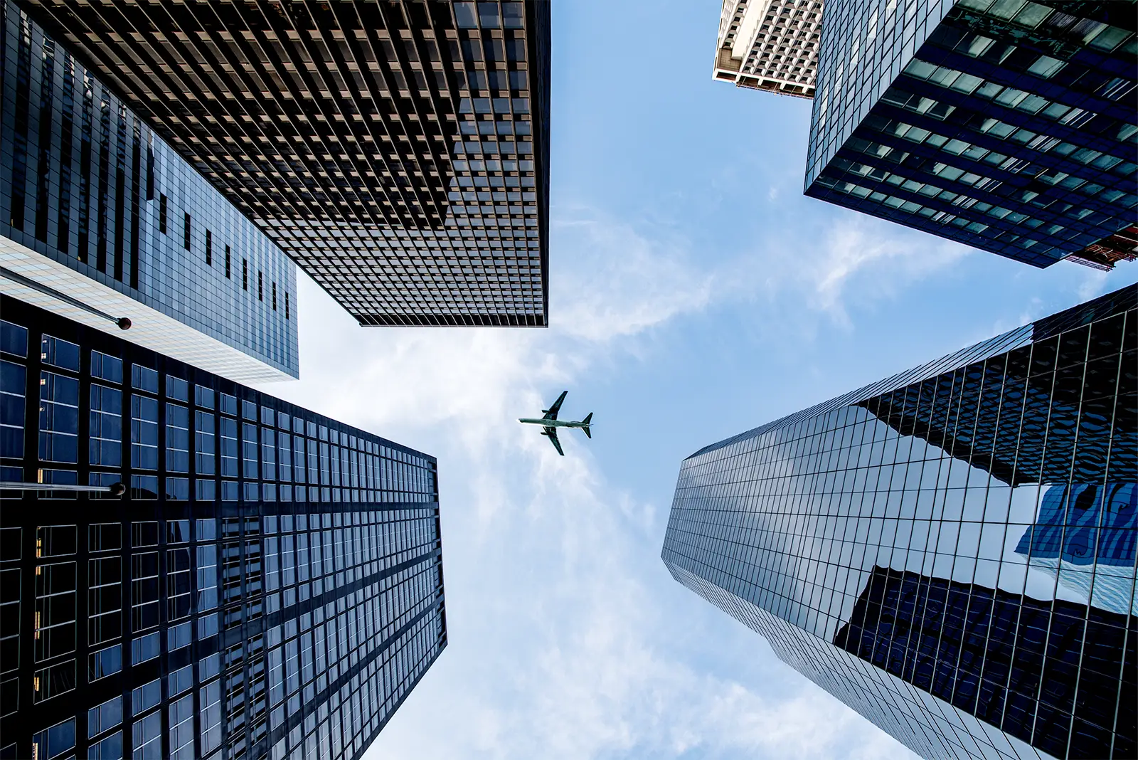 Consistent Growth Across Industries