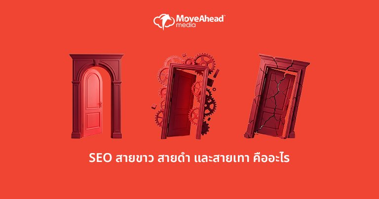SEO สายขาว สายดำ และสายเทา คืออะไร
